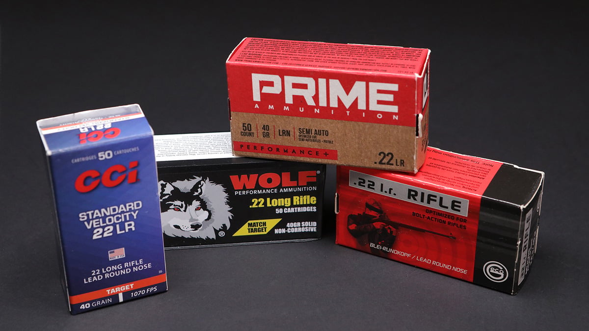 .22 LR ammo