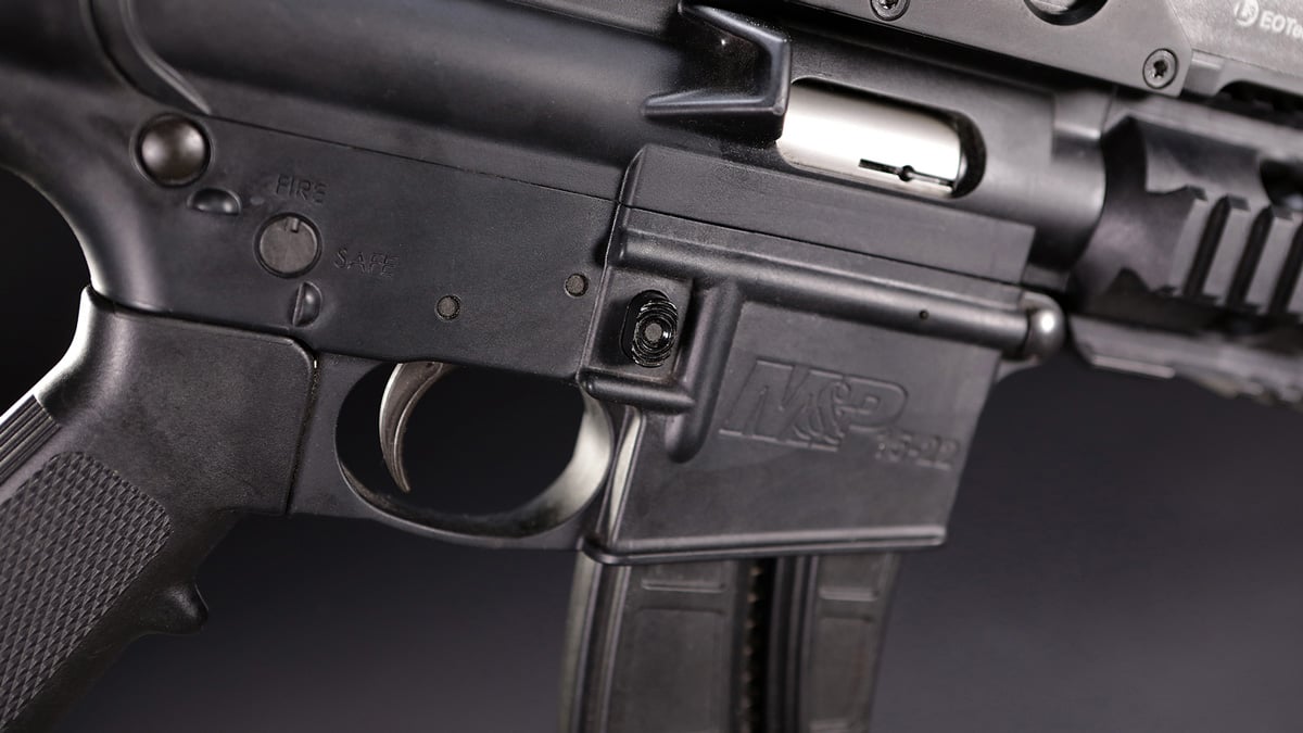 S&W M&P 15-22