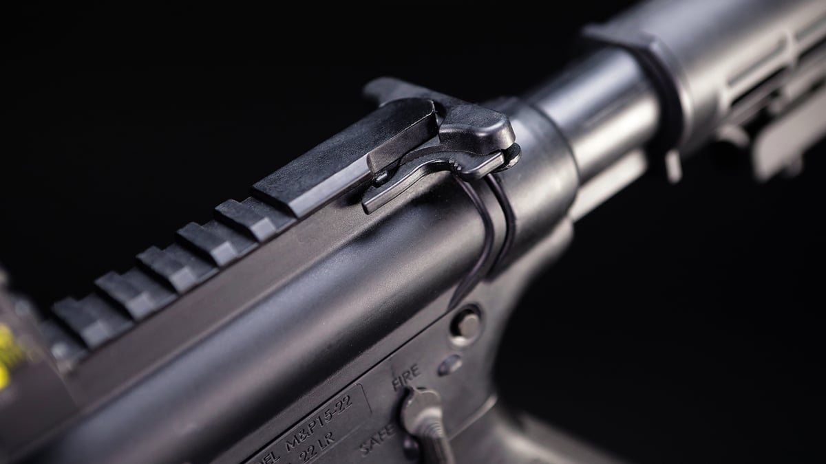 S&W M&P 15-22