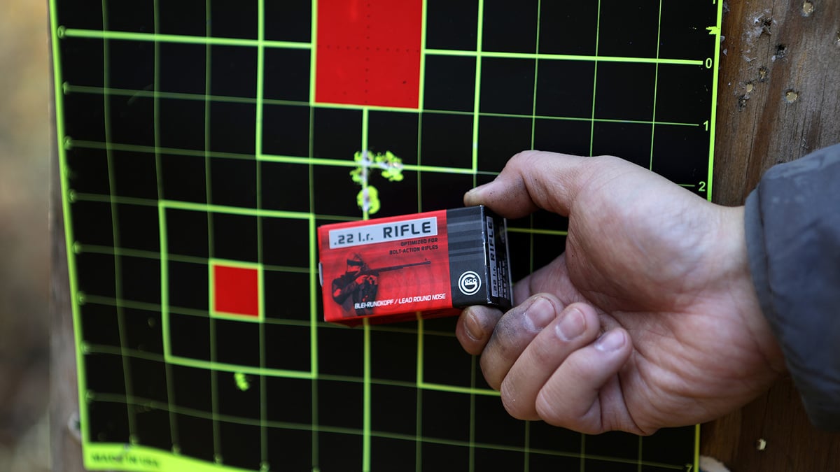 target with .22 LR ammo