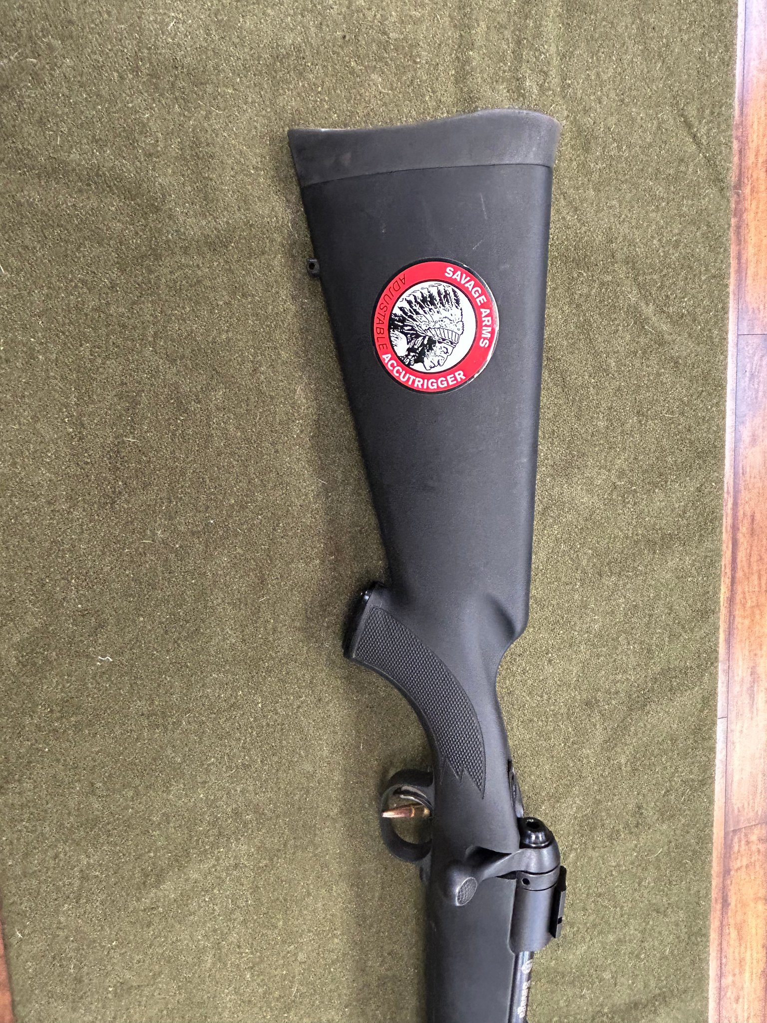 SAVAGE ARMS 11