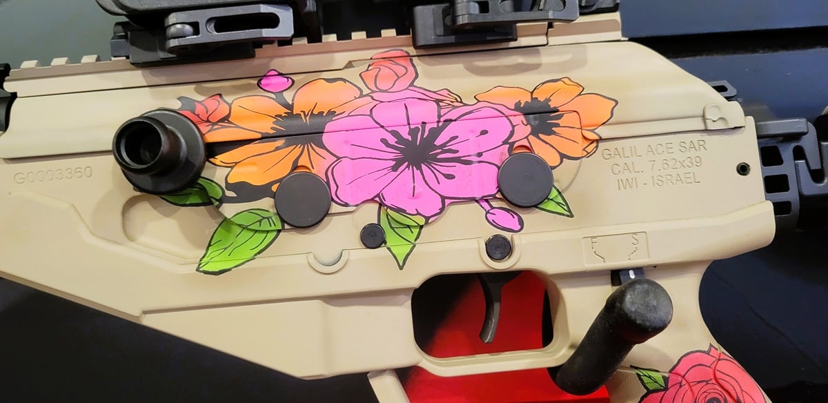 IWI Custom wall Galil Ace SAR