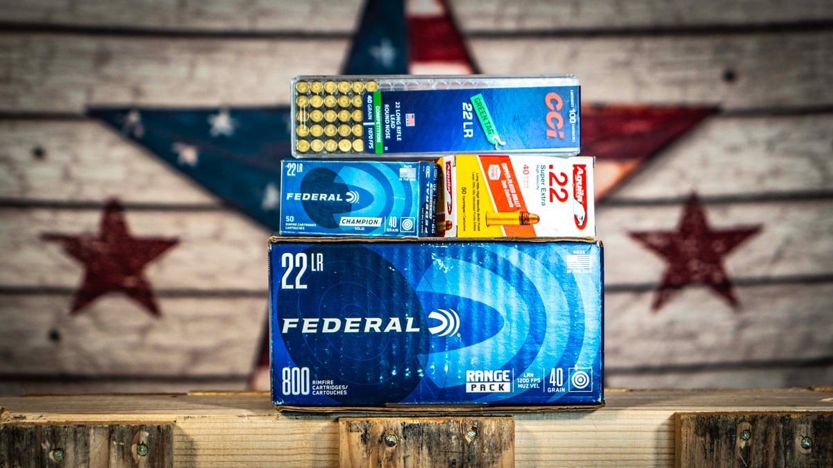 .22 LR Ammo