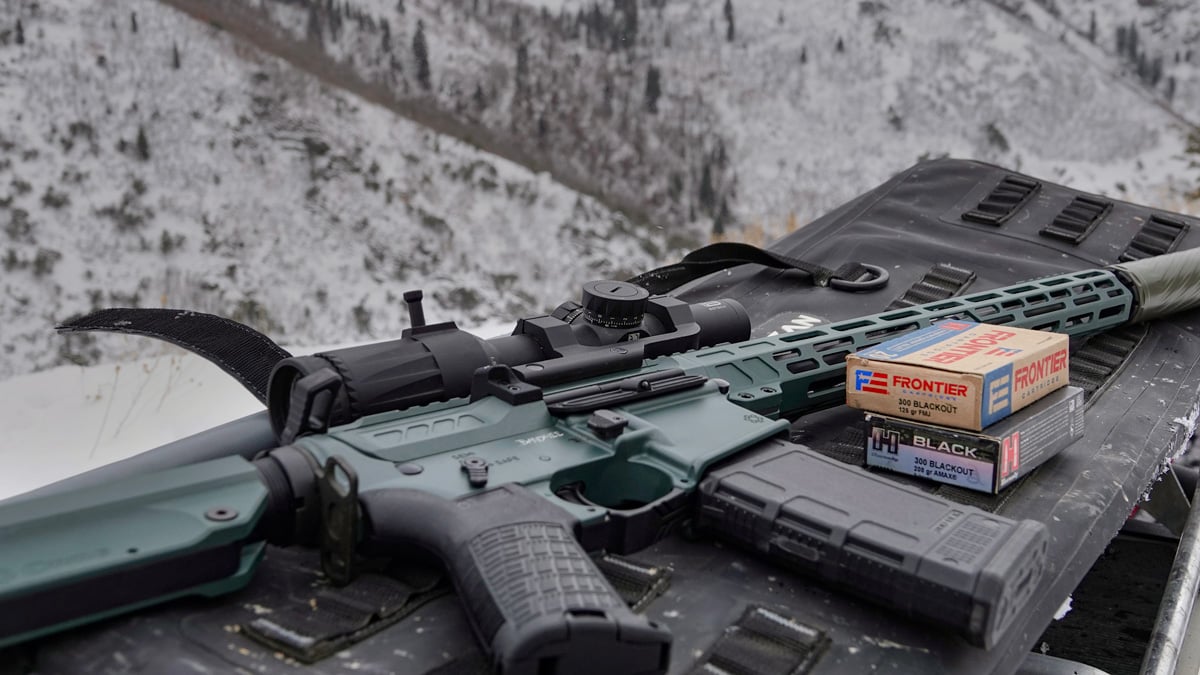 CMMG Banshee Mk4 rifle with Hornady ammo