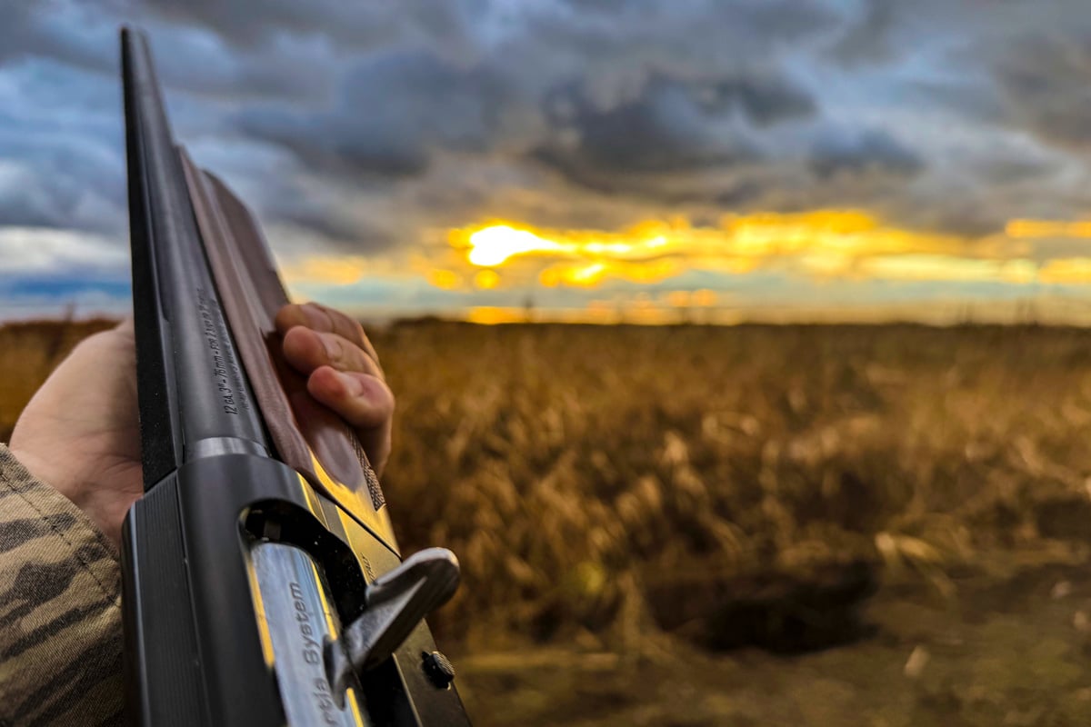 Benelli Montefeltro in duck marsh