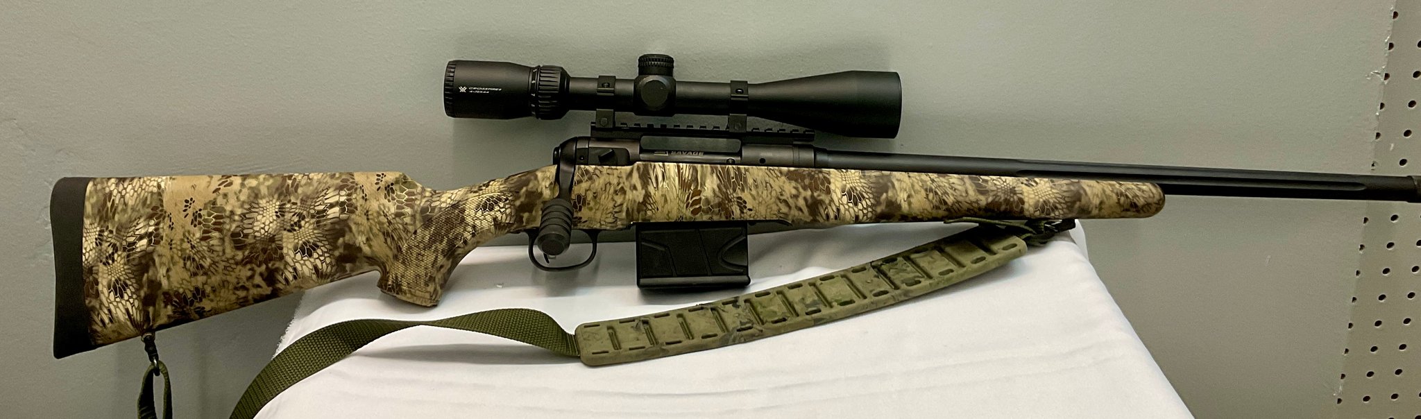 Savage Arms 10