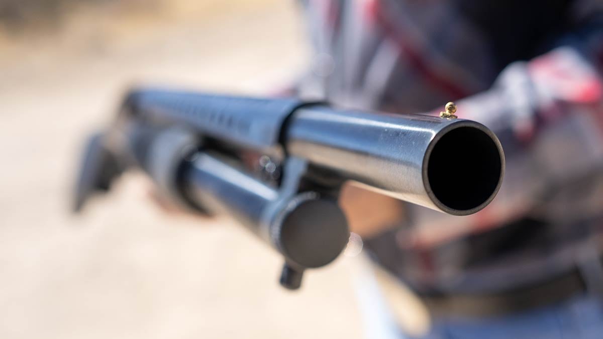 brass bead front sight on Mossberg 500