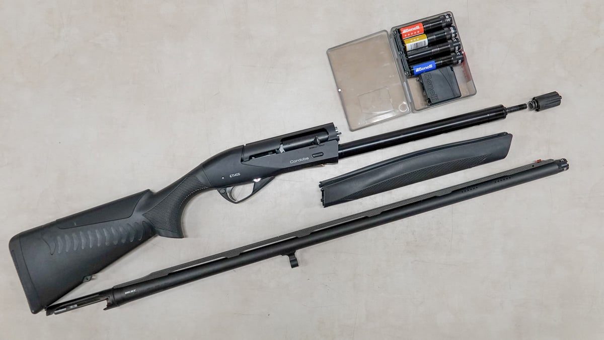 Benelli Ethos Cordoba disassembled