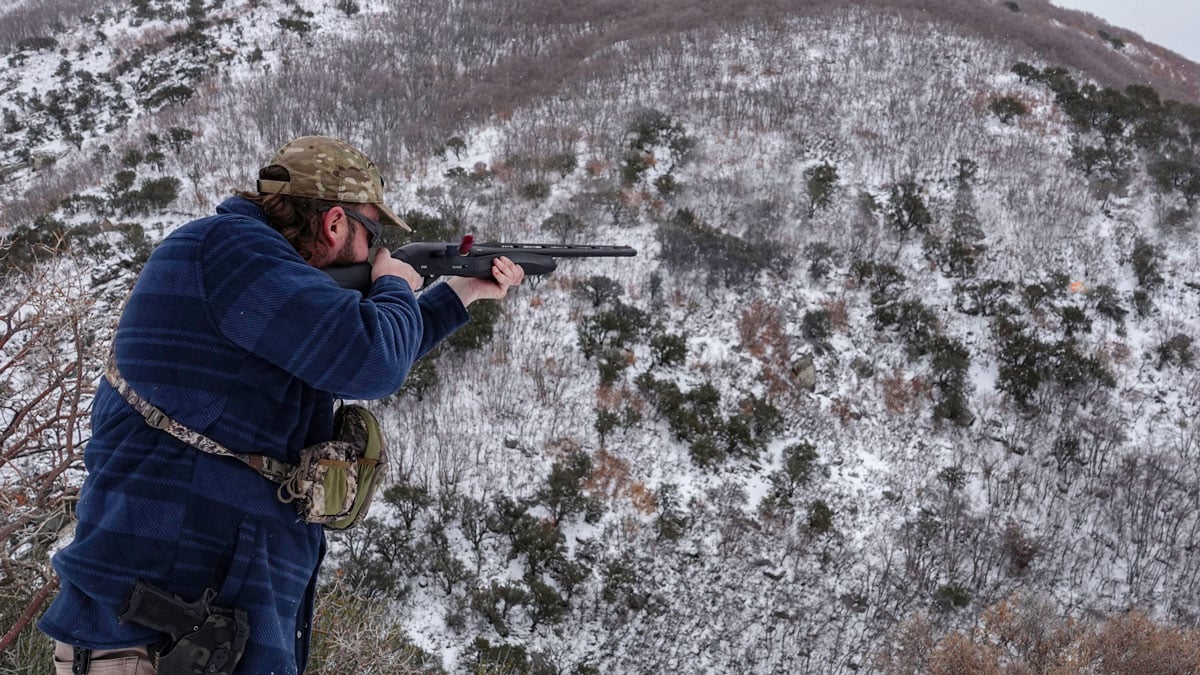 shooting the Benelli Ethos Cordoba