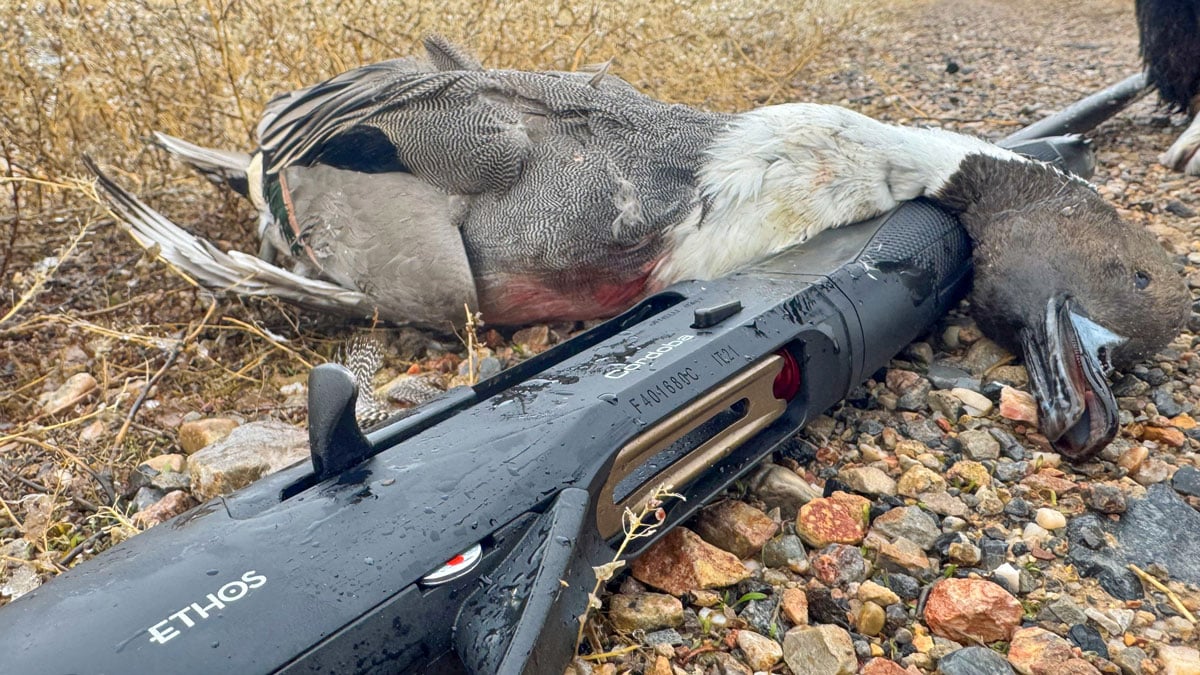 Benelli Ethos Cordoba with duck