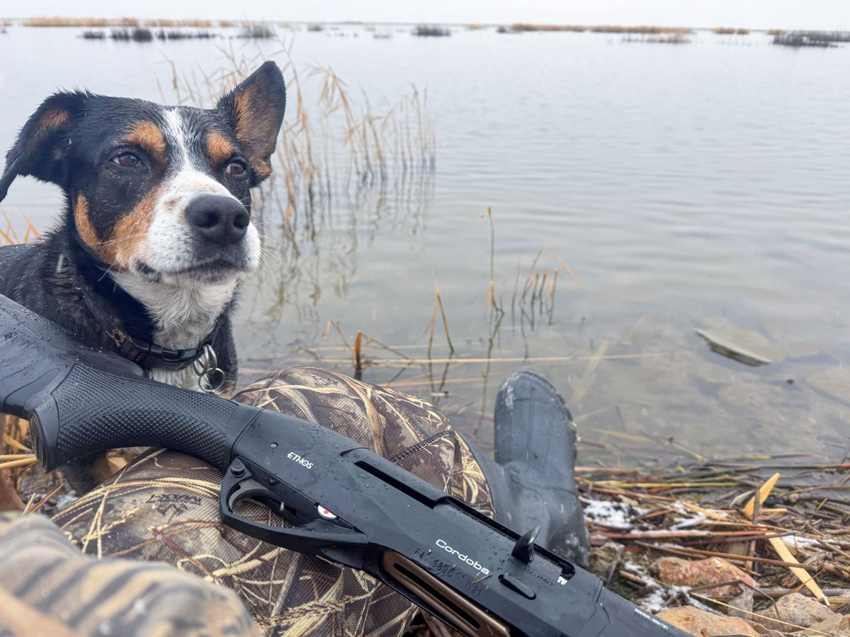 Benelli Ethos Cordoba with dog and duck