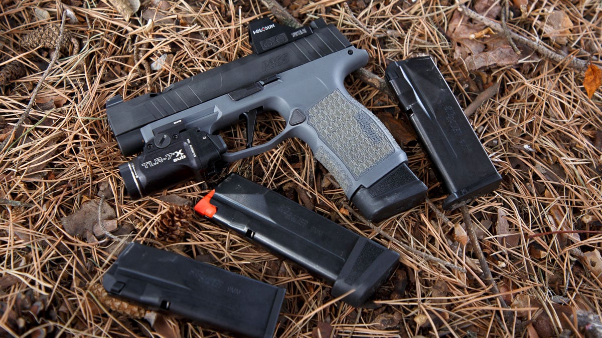 P365 XL Spectre with extra mags