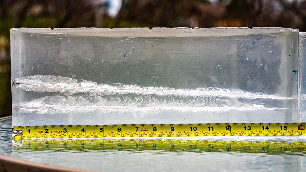 Ballistic Gel