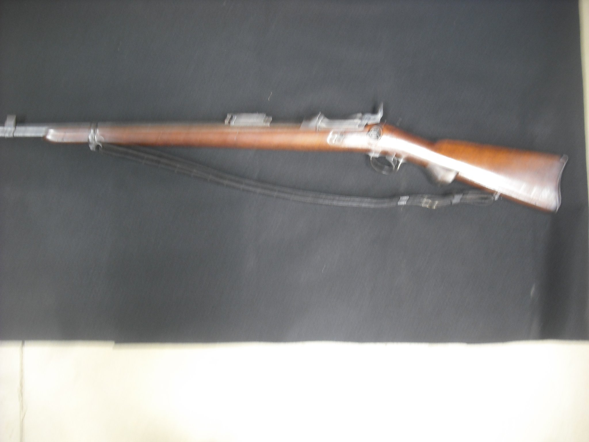 Springfield Armory Trapdoor