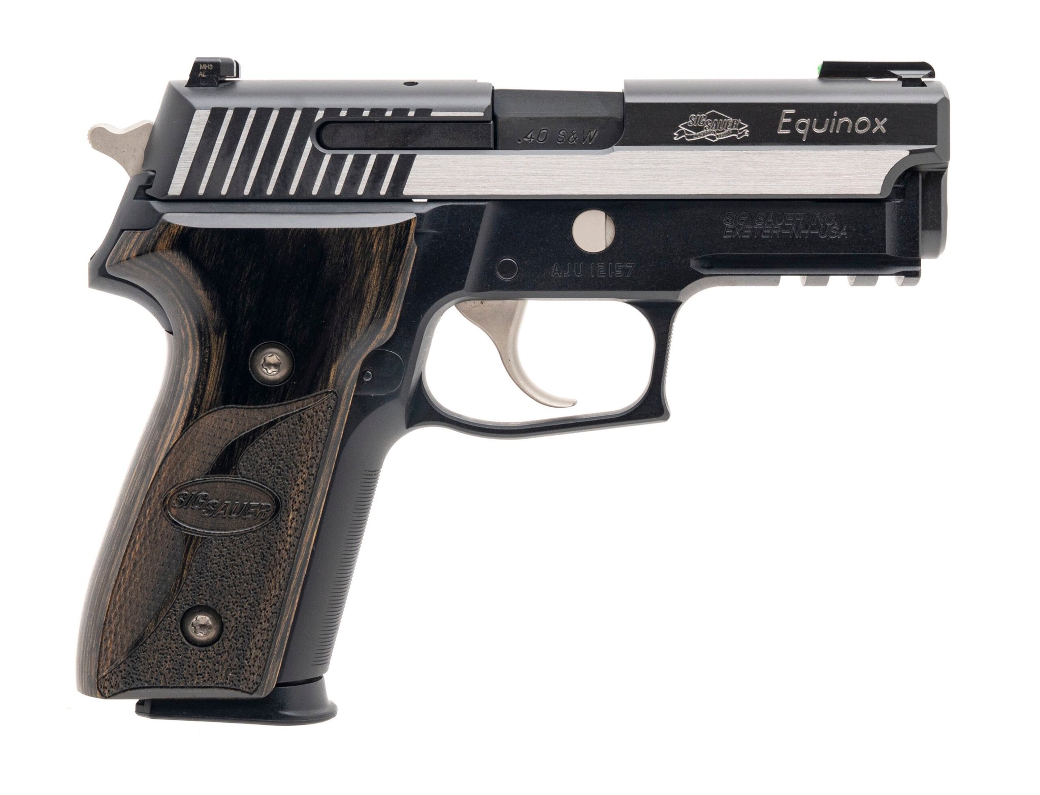 Sig Sauer P229 Equinox
