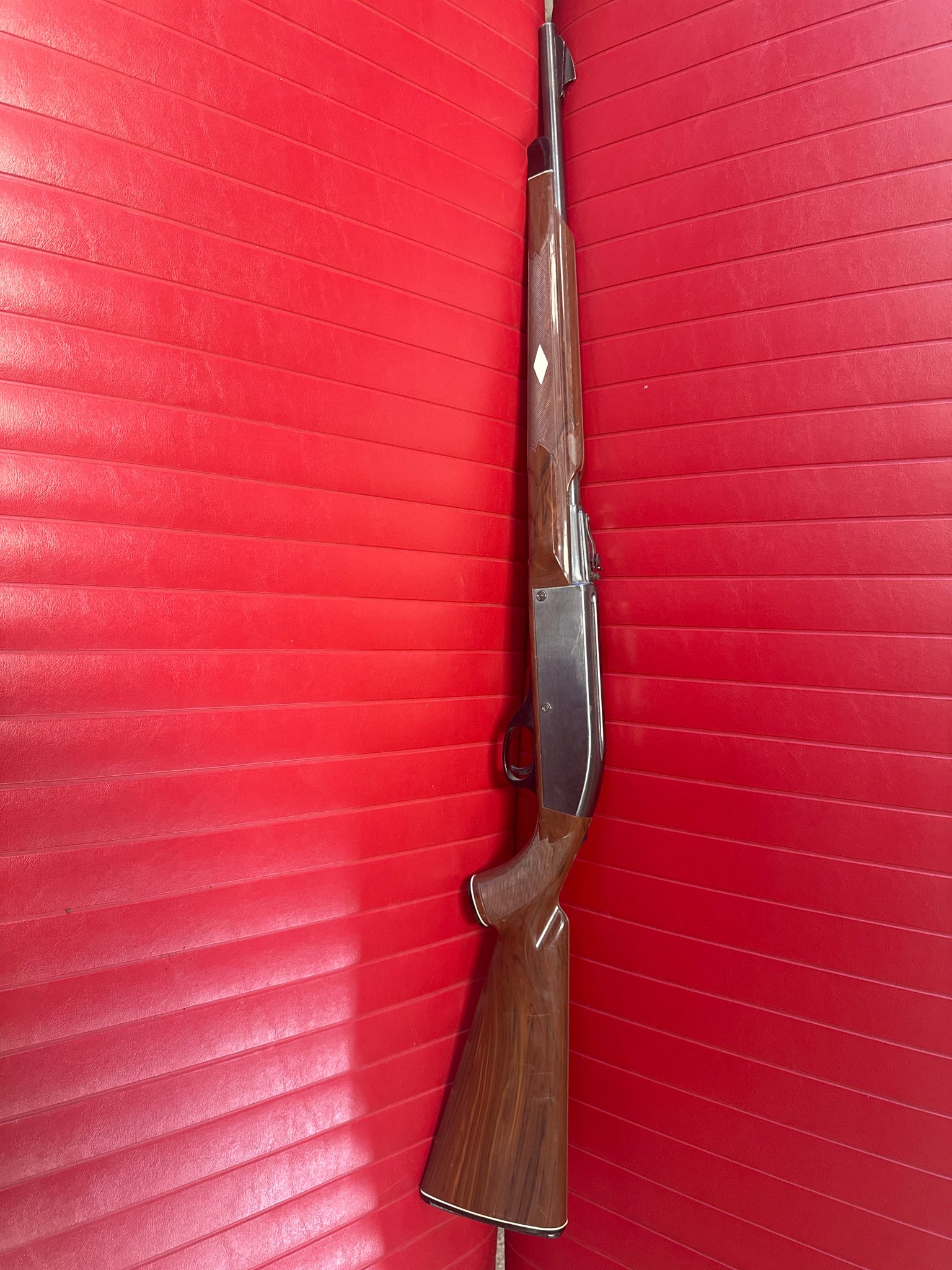Remington Nylon 66
