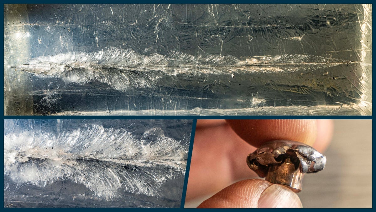Remington Core-Lokt Ballistic Gel Test