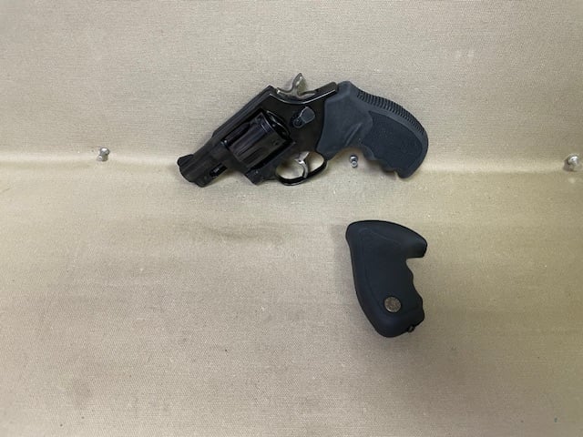 Taurus 445