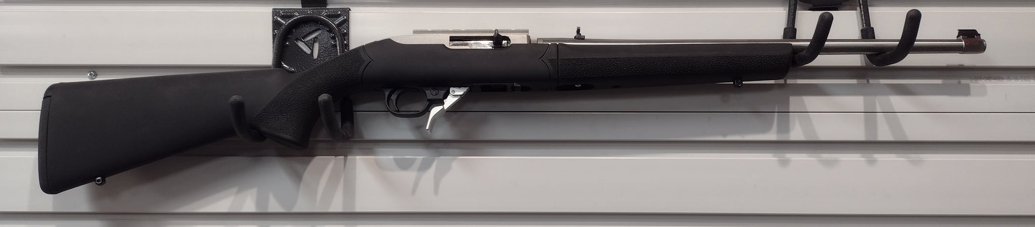 Ruger 10/22
