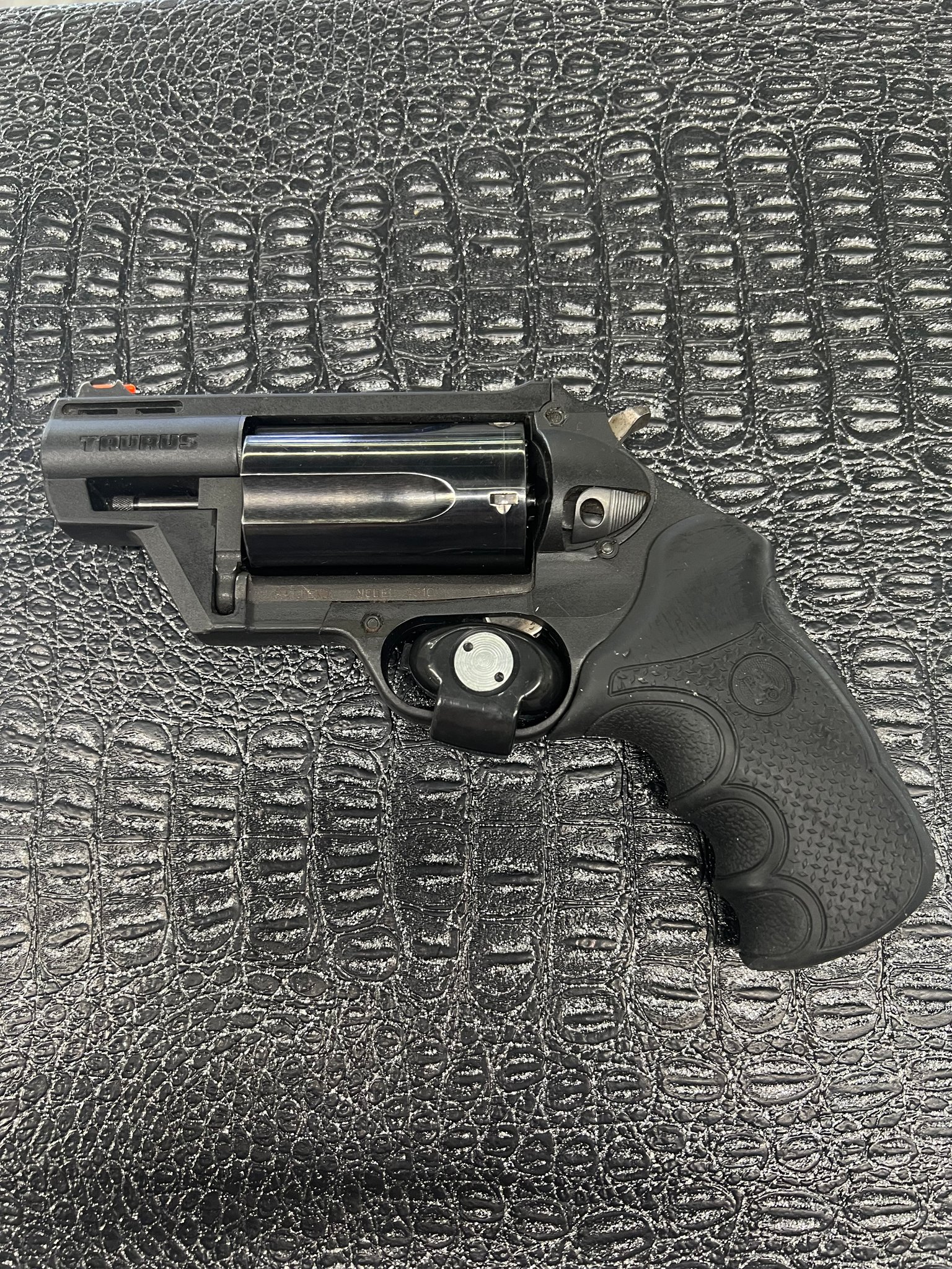 Taurus Judge
