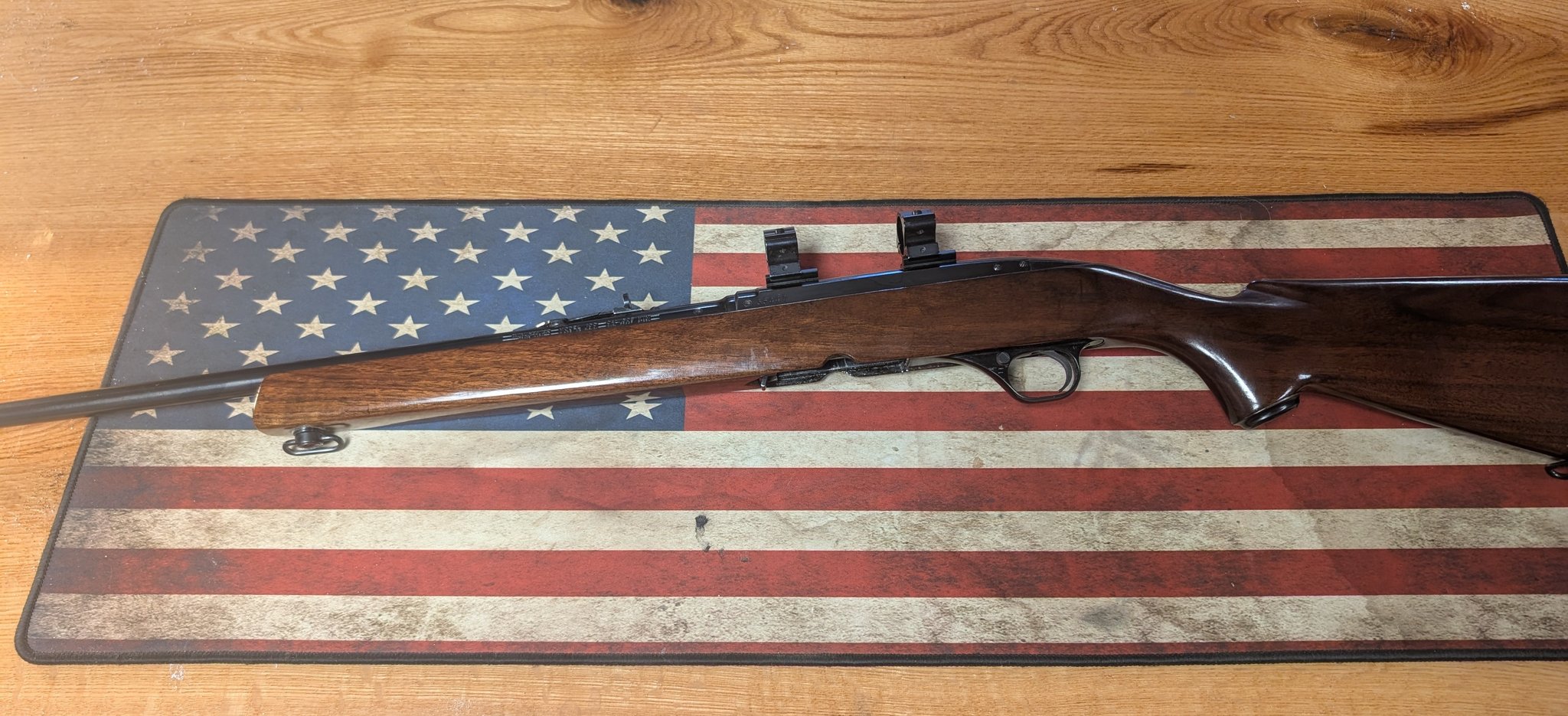 Winchester 100