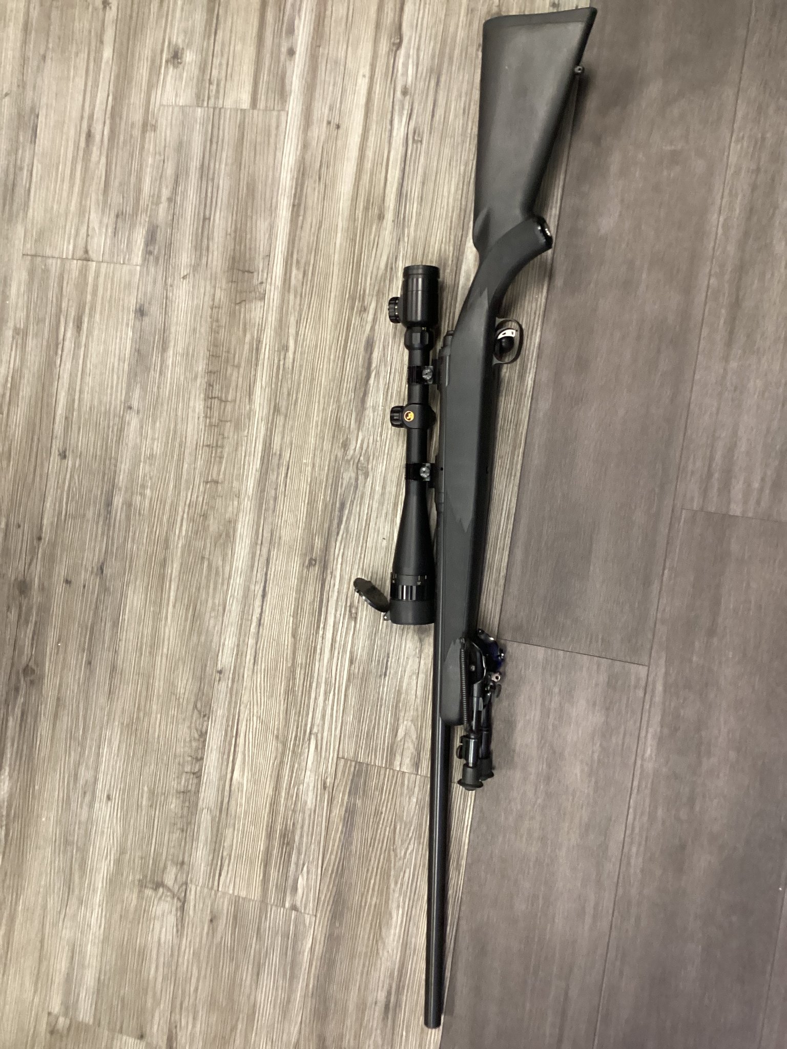 Savage Arms Model 12