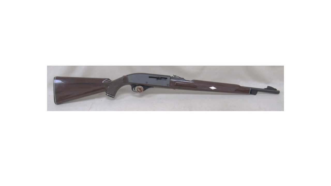 Remington Nylon 66
