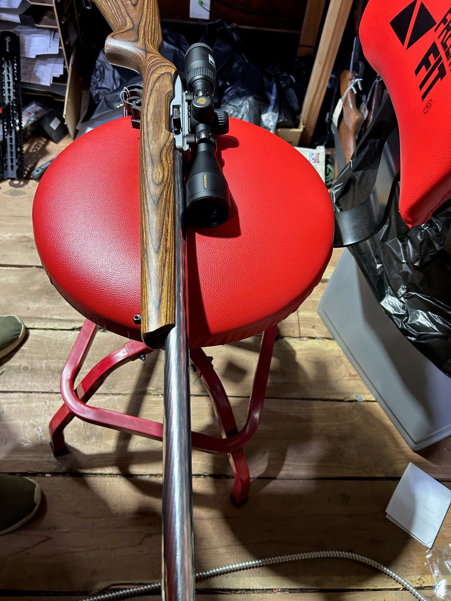 Ruger 10-22 Target