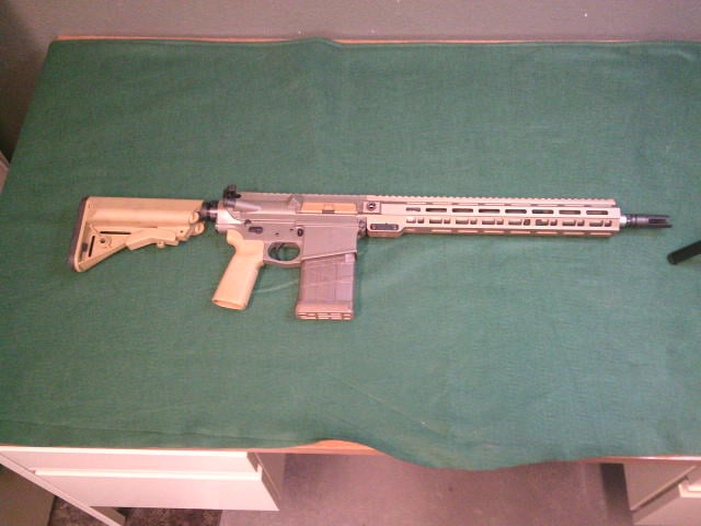 Palmetto State Armory Sabre M10-a1