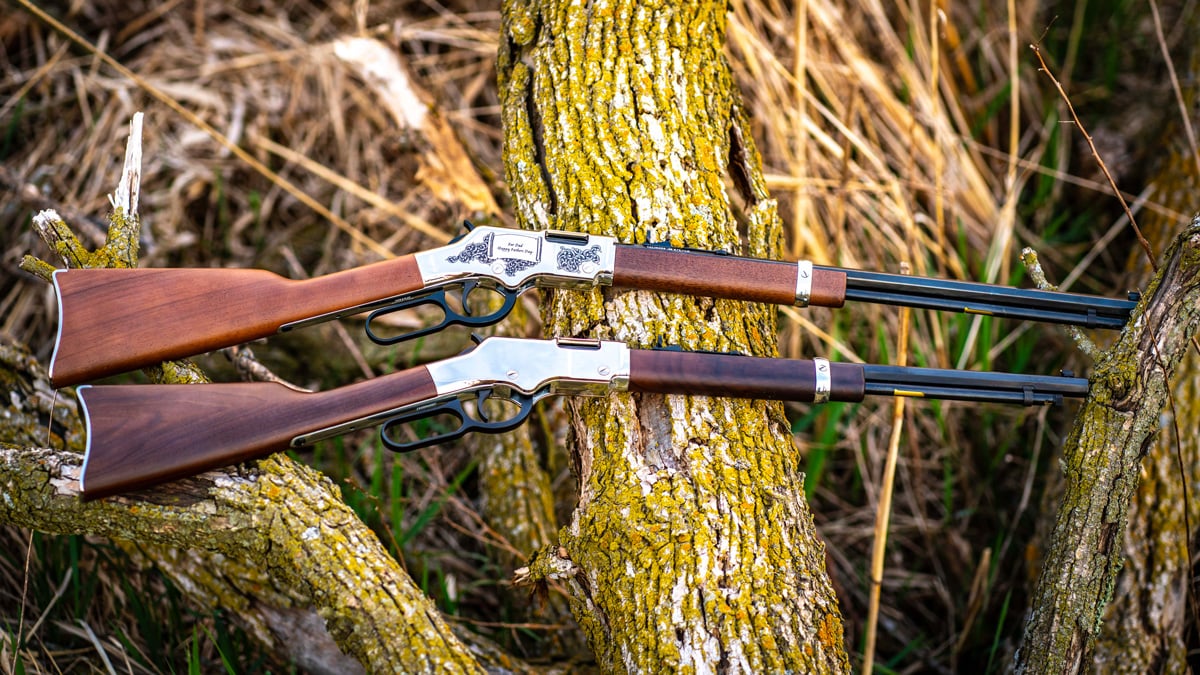 Henry Golden Boy Silver Youth rifle