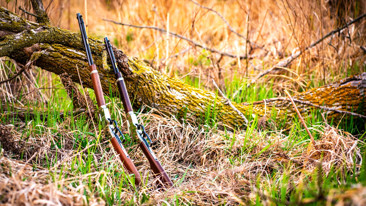 Golden Boy Silver Father&rsquo;s Day Edition lever-action .22 Rifle