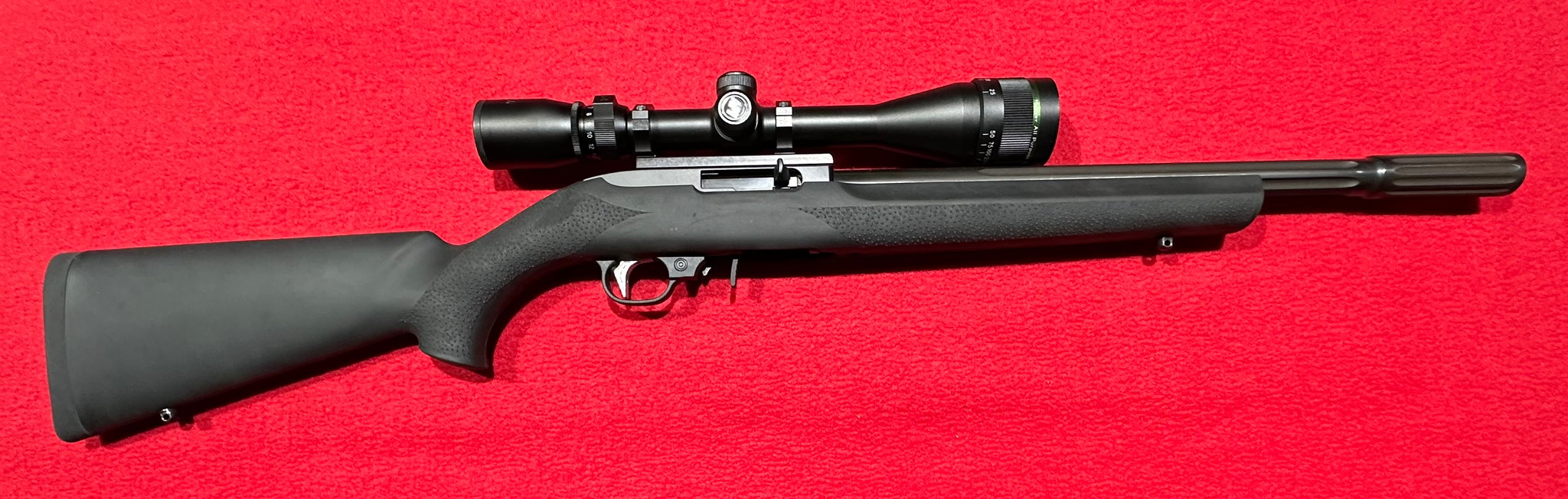Ruger 10/22