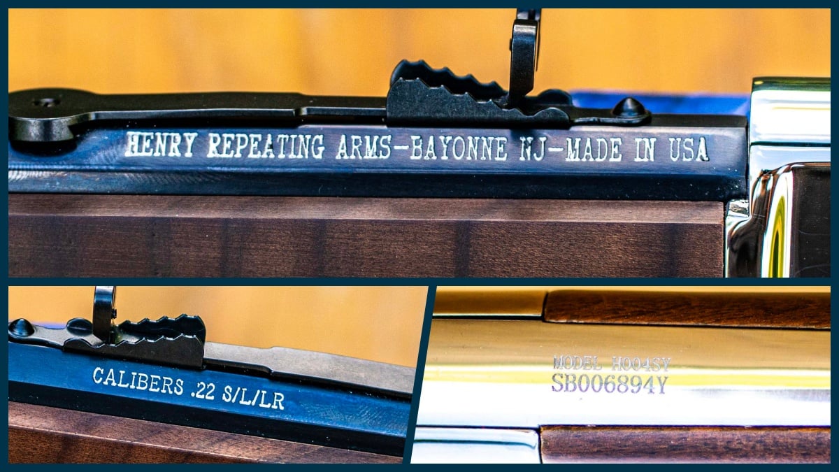 Henry Golden Boy Silver Youth rifle
