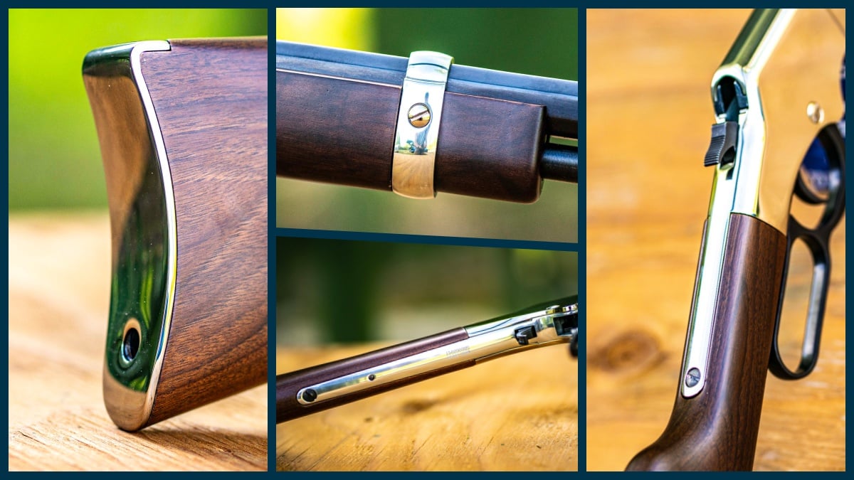 Henry Golden Boy Silver Youth rifle