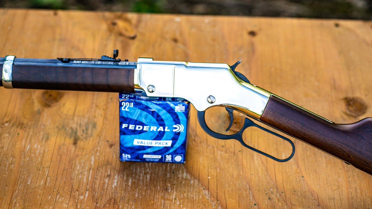 Henry Golden Boy Silver Youth rifle