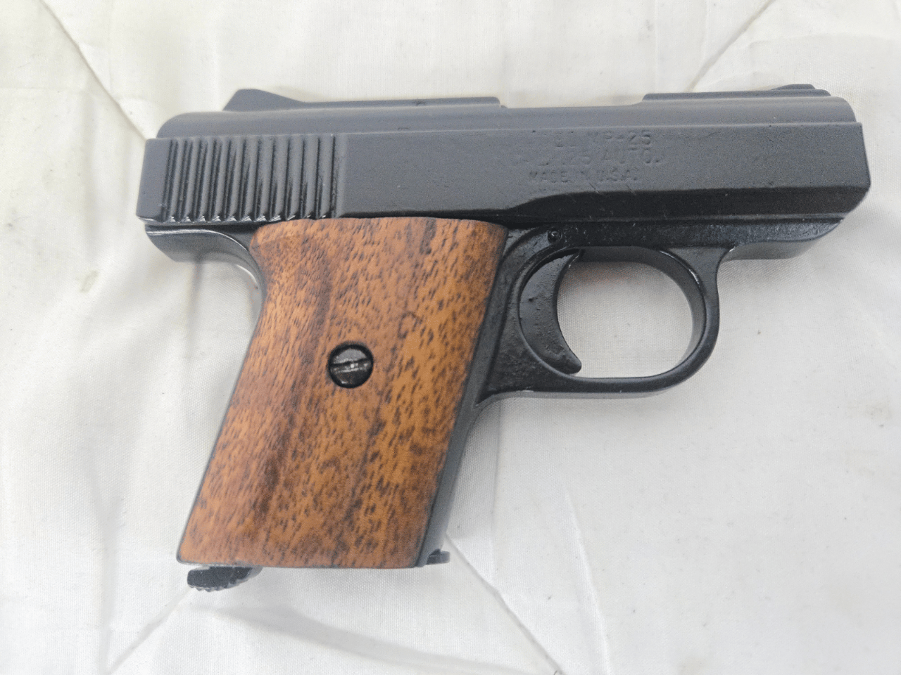 RAVEN Arms Mp-25 W/mag ECOM00439722 530139