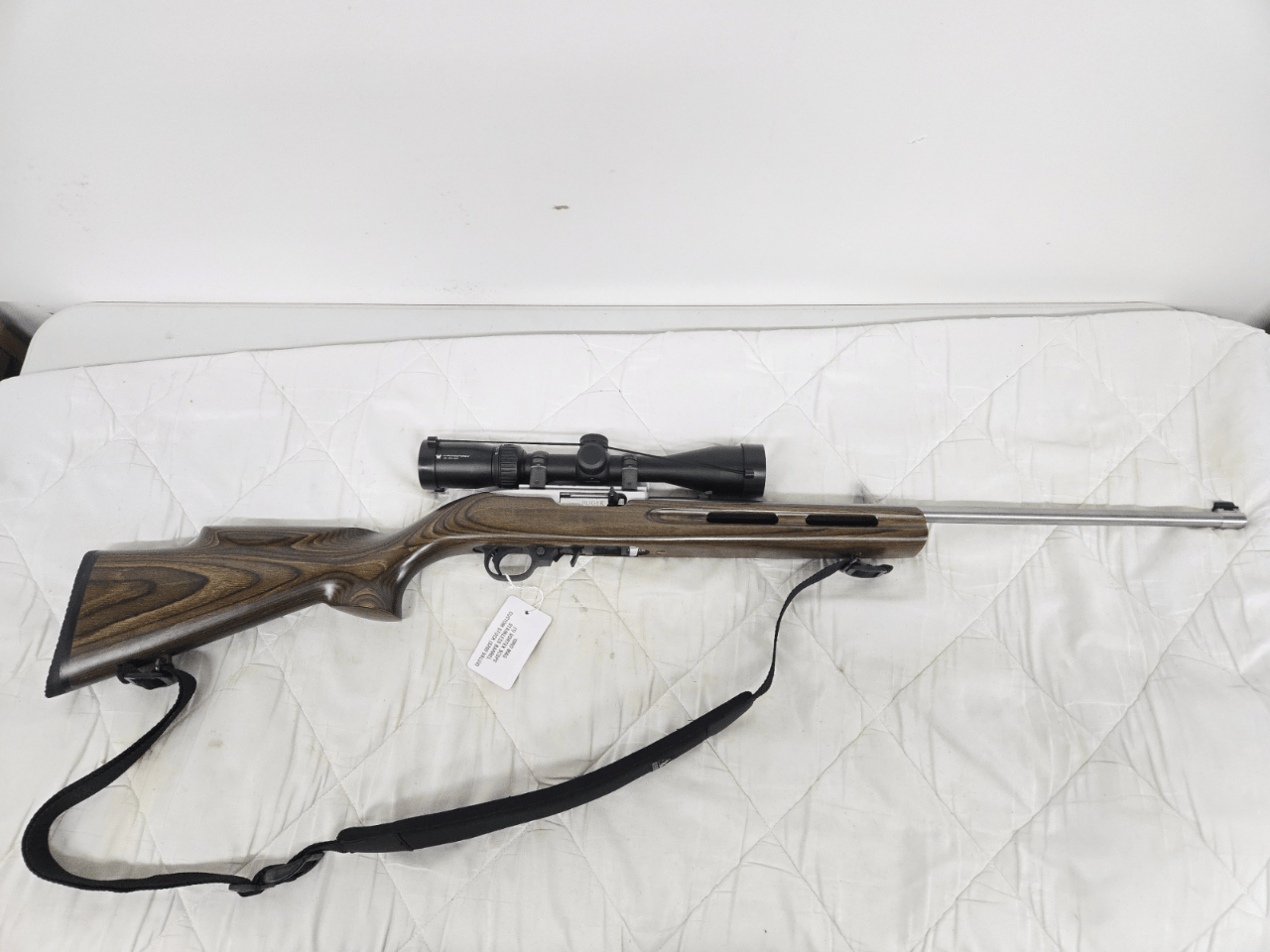 Ruger 10/22 Stainless