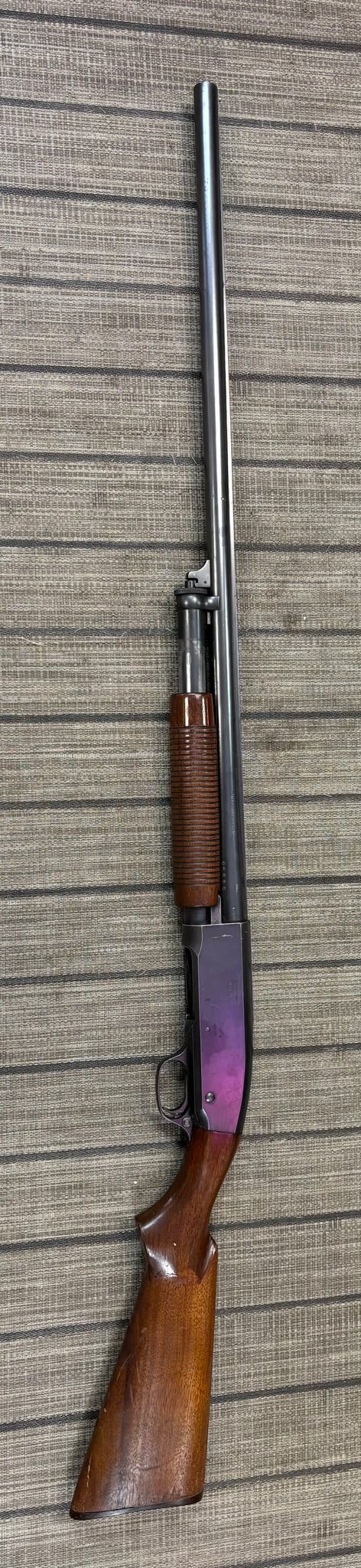 Remington 31