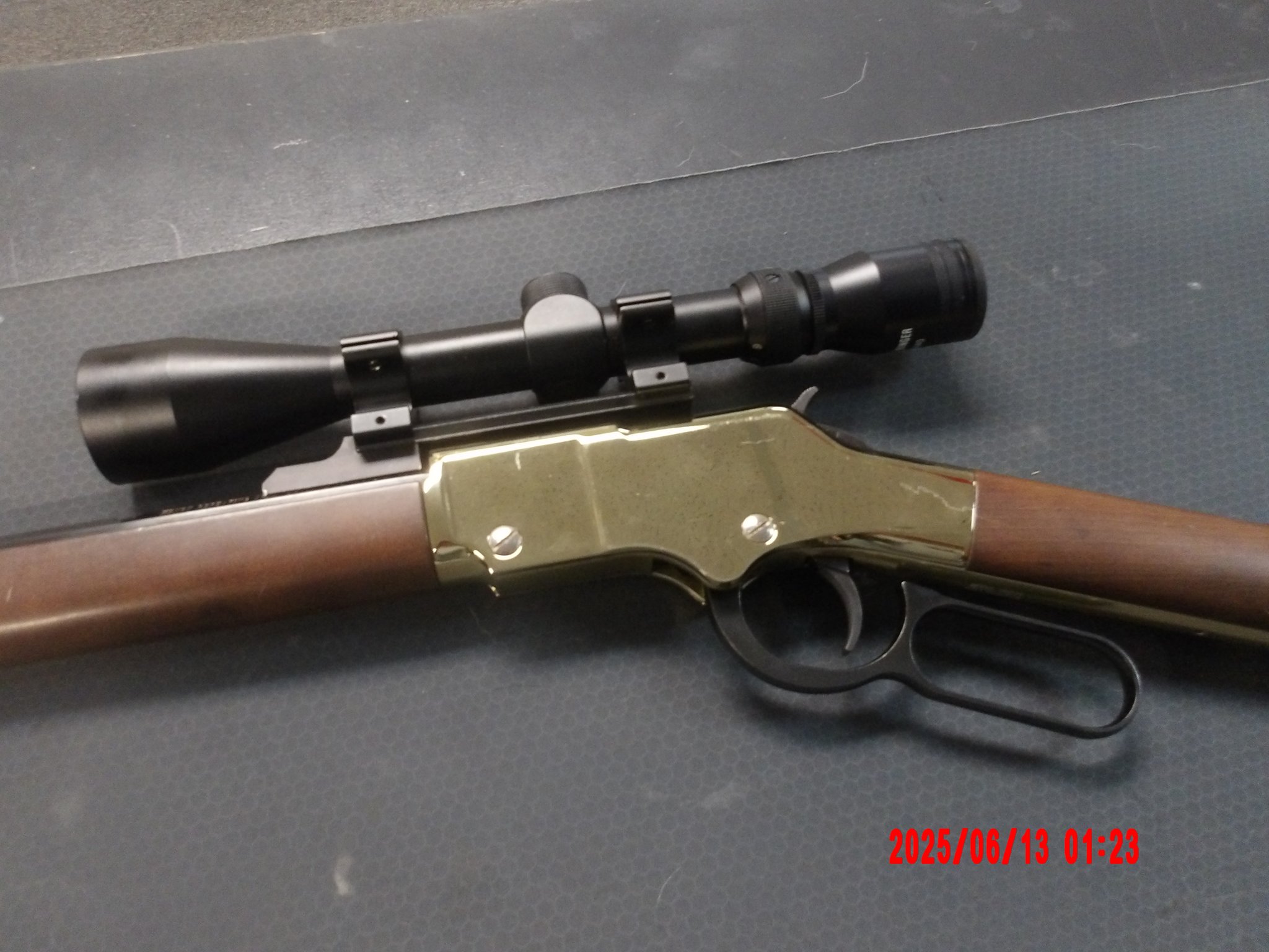 Henry Golden Boy 17 Hmr