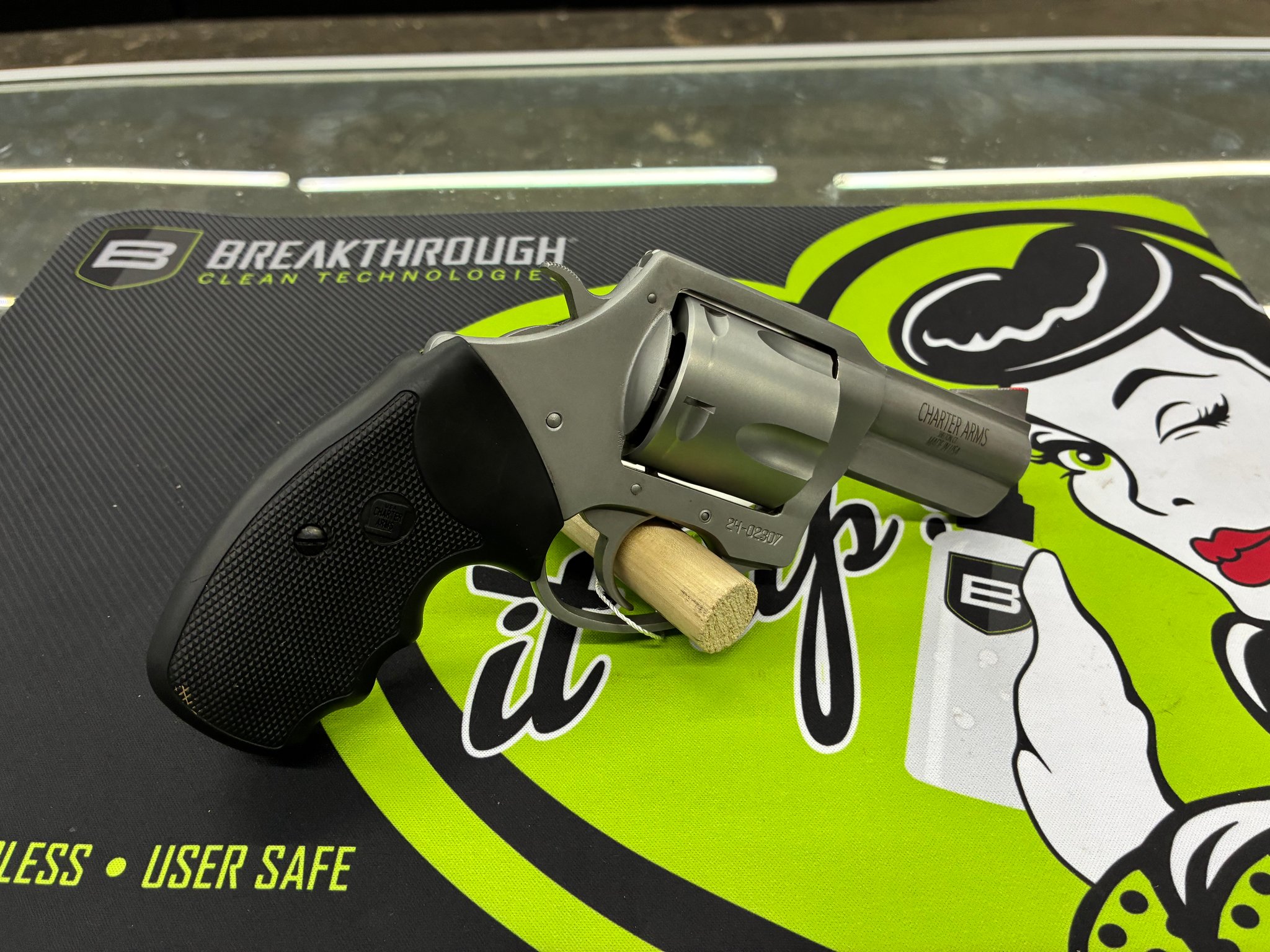 Charter Arms Pitbull