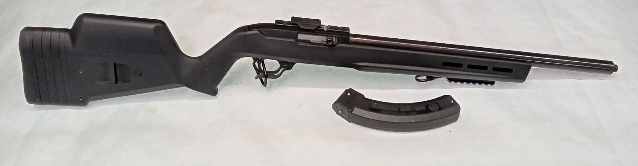 Ruger 10/22