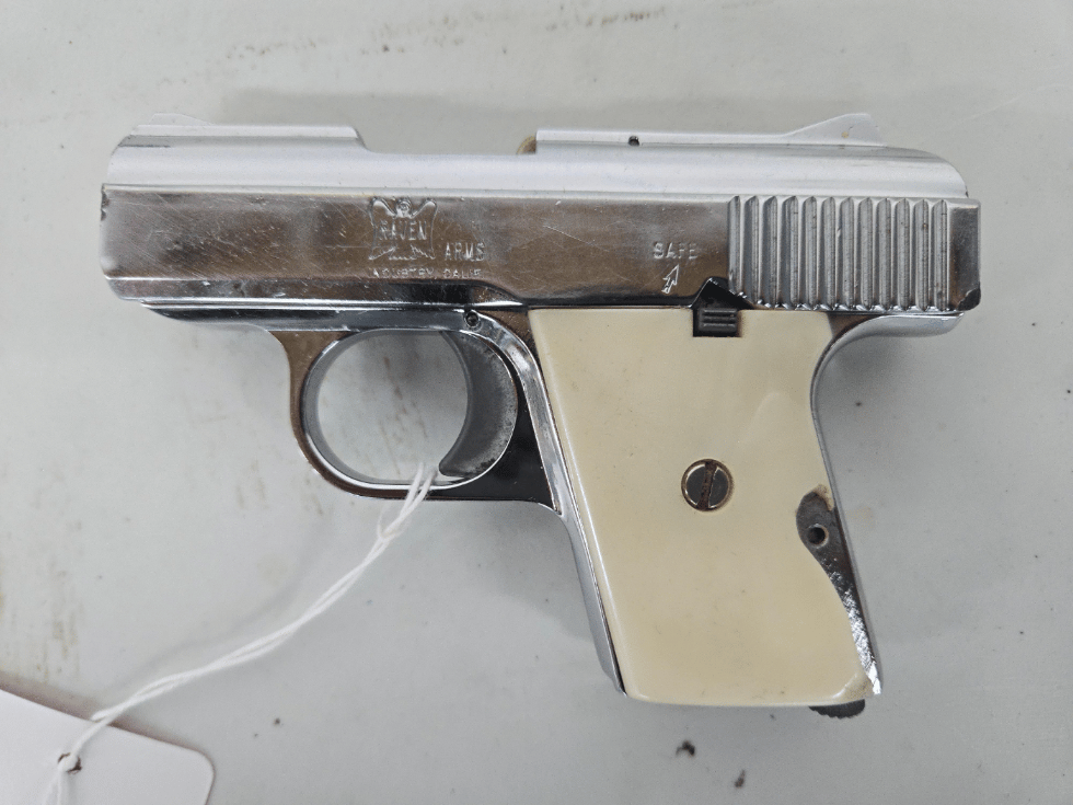 RAVEN Arms Mp25 Chrome ECOM00446384 538089