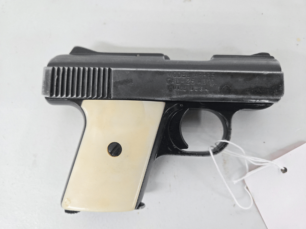 RAVEN Arms Mp25 W/magazine ECOM00446387 538092