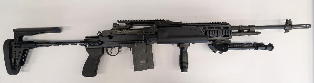 Springfield Armory M1a