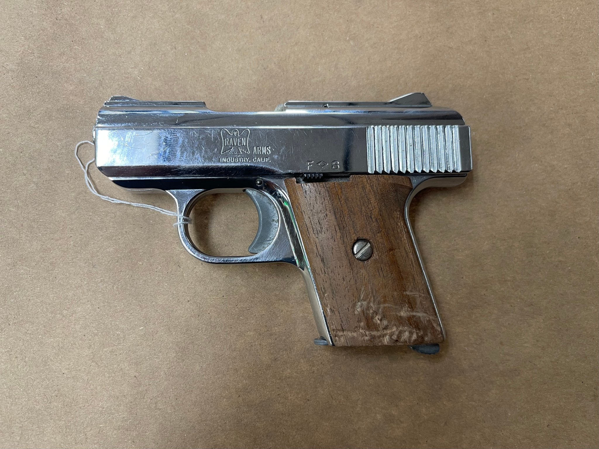 Raven Arms Mp-25