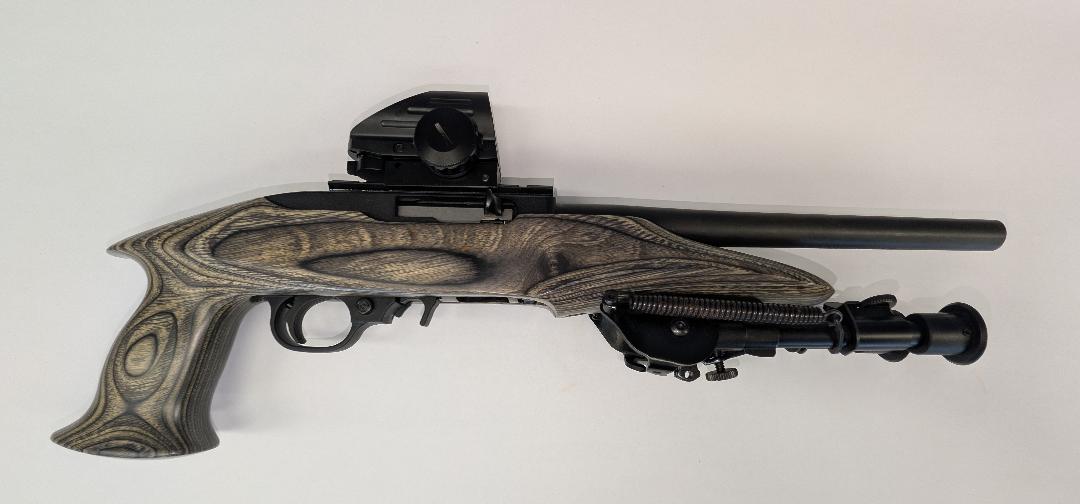 Ruger 10/22 Charger