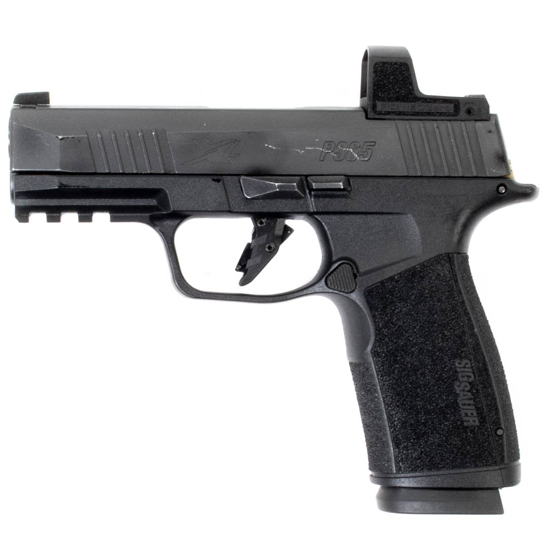 Semi Auto Sig Sauer