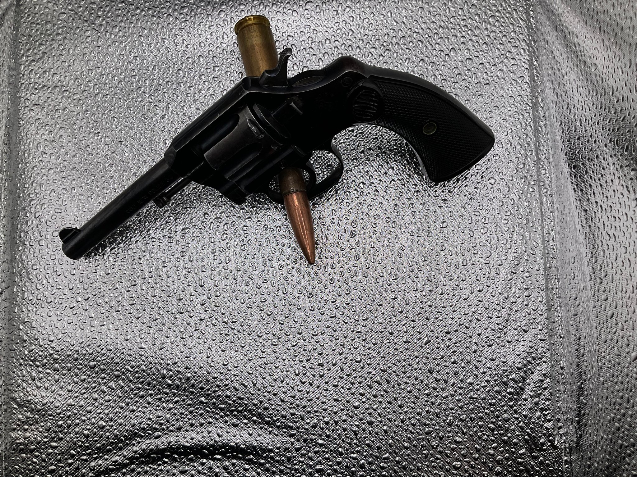 Colt New Police