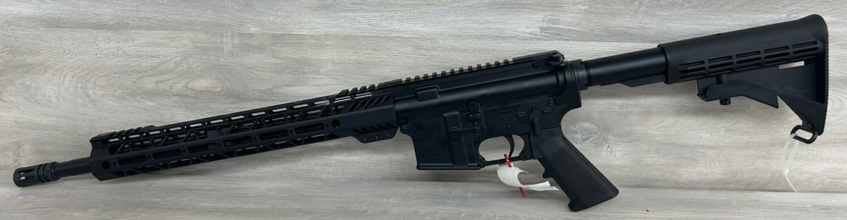 Semi Auto Palmetto State Armory