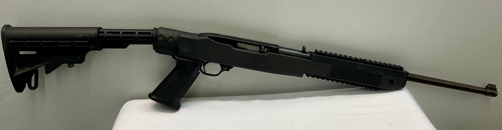 Ruger 10/22